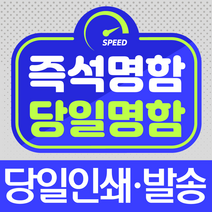 즉석명함 당일명함 소량명함/10장부터 인쇄/당일발송/당일 방문수령, 스타드림, 양면, 100장