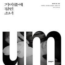 새책-스테이책터 [거미줄에 걸린 소녀] -다비드 라게르크란츠 지음 임호경 옮김, 거미줄에 걸린 소녀, 거미줄에 걸린 소녀, NSB9788954646611