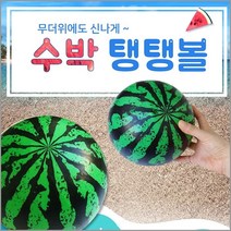 동의보감 탱탱볼 수박 비치볼 수박공 투명볼 물놀이 여름용품 (9746978)