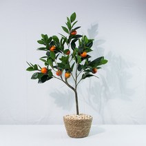 유주나무조화 금귤 조화 인조나무, 유주나무조화세트(유주나무+화분+편백큐브)