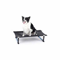 강아지 도그 야전 캠핑 침대 반려견, 통용되다, 해당되지 않음