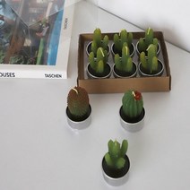 캔들공방 재료 워머 우드윅 석고 방향제 소이 테라리움 용기 미니, 1