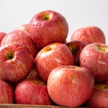 산지직송 밀양 얼음골 사과 10kg 42과 선물용 가정용