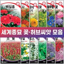 세계종묘 꽃 허브 씨앗 일년생 다년생 노지월동 야생화, 세이지 20립