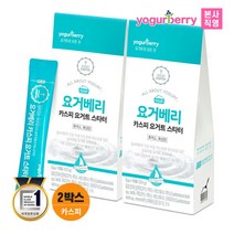 [휴럼] 요거베리 카스피 요거트 스타터 2박스(20포) 요거트만들기 카스피해 유산균 종균, 20g, 2개
