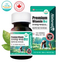 캐나다 네추럴라이즈 프리미엄 비타민B 90정 B12 단일성분 500ug, 단품, 단품