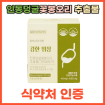 역류성 속쓰림 소화불량 에좋은 영양제 그린세라 임산부속쓰림 식도 인동초 덩굴 꽃봉오리 금은화 추출물 60정 1개월분, 60캡슐 X 1통_사은품 패치