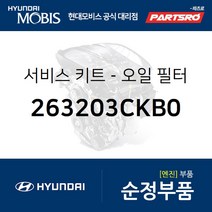 서비스 키트-오일 필터 (263203CKB0) 그랜저IG 아슬란 제네시스 EQ900 G80 G90 팰리세이드 현대모