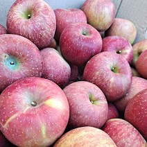 산지직송 정품 사과 3kg 좋은 사과 보내드릴께요., 정품중과4.5kg(16과수내외)박스무게포함