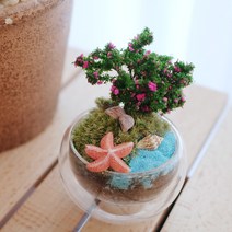 리베리베 테라리움 미니어쳐 DIY 집콕놀이 아이와 함께 홈가드닝 취미생활