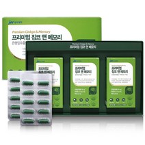 JW중외제약 프리미엄 징코앤메모리 90캡슐 은행잎추출물, 1캡슐당 500mg, 90정