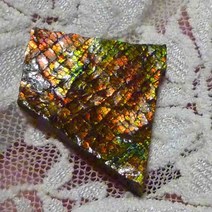 천연원석 AMMOLITE 암몰라이트 생물원석 13Ct +보증서