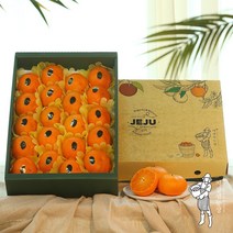 지장샘농장 제주 레드향 가정용 선물세트 2kg 3kg 5kg, 레드향 선물세트 2kg (7과내외)