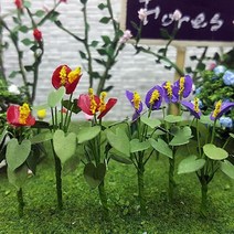 [포레스]모형안수리움, [6492190]옵션없음