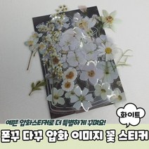 압화 스티커 화이트 폰꾸스티커 압화스티커 다꾸스티커 꽃스티커 이미지 다꾸 폰꾸 꽃, 상세페이지 참조, 상세페이지 참조
