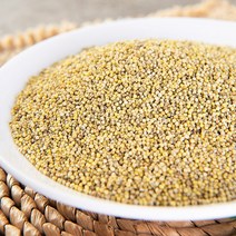 유기농 차조 500g ~ 2kg 청차조 차 좁쌀 밥 유기농잡곡 국산차조 중기 이유식 잡곡