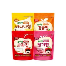 퓨어잇 동결건조 과일칩 4봉세트, 05.과일칩 4봉 랜덤