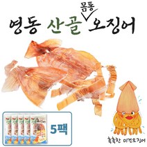 오징어몸통 건오징어몸통 건조오징어몸통 짜지않은오징어 영동오징어 영동산골오징어 속이촉촉한오징어 건조오징어 미건오징어 오징어 10마리 산지직송 개별포장