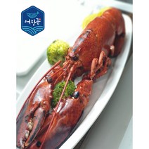 캐나다 자숙 점보 랍스타 700g이상 800g이상 크리스마스 홈파티 어장금, 700~800g