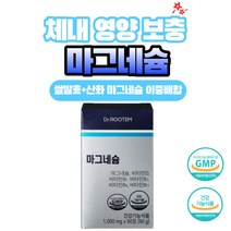 쌀 발효 이중배합 마그네슘 산화마그네슘 315mg 마그네슘 사은품 증정, 1통, 90정