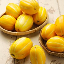 고당도 성주참외 프리미엄 고급형 정품 참외 대과 5kg 개별망포장