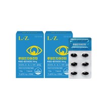 온유바이오 건강한 눈 루테인지아잔틴24mg 2박스(총2개월분), 단품, 단품