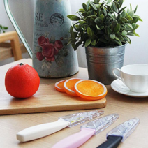 보드미_리빙 지르코니아세라믹과도 포에버 세라믹 과도, free, 핑크