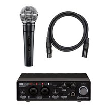 슈어 SM58 SK + 스테인버그 ur22c 마이크 패키지, SM58 SK 마이크+스테인버그 ur22c