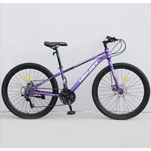 ( MTB 산악자전거 ) 26인치 입문용 크로스컨트리 자전거 21/24단, 21단, 스포크 휠 - 퍼플