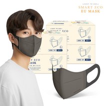스마트에코 이유 성인용 다크그레이 200매 새부리형 국내생산 마스크