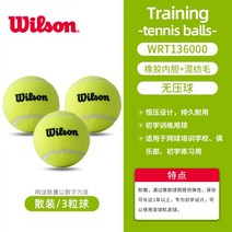 윌슨 공 연습구 Wilson테니스공 챔피언쉽 WILSON 테니스공 테니스볼 트리니티 그린볼 엑스트라, 15