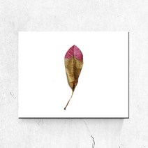 PL070_나뭇잎 가을 인테리어액자 주방 캔버스액자, 고급형유광전처리_L_24cm x 33cm