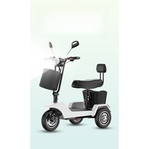 어르신전동차 삼륜차 전동카 퀵보드 장애인 스쿠터 접이식, 17. Q, 01. 48V