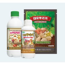 뿌리커 500ml - 구근을 크고 균일하게 뿌리 발달에 도움 구근크기 증대 근비대 영양제 웃자람 경감 뿌리에 양분 집중