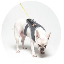 코지힙 네오펫하네스 부드러운 순면원단 강아지 고양이 가슴줄 소형견목줄대신착용, 핫핑크