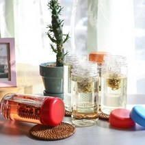 국산(친환경) 마이보틀 그린티 트라이탄 보틀 제작, 500ML 그린티 블루 MY BOTTLE