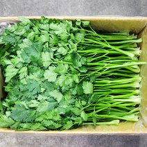 이태리파슬리 1kg, 1개