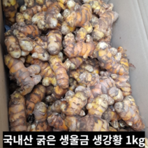 [국내산] 채취 후 바로 발송 울금 강황 생강황 1kg 강황 강황열매 국내산 국산 생울금, 생 울금 1kg
