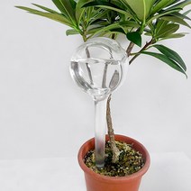 워터케어 식물 화분 자동 급수기 화초 물주기 급수봉 여행 출장 물뿌리개, 둥근형1P+납작둥근형1P