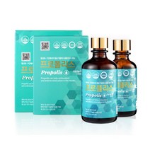 비플라이 비엔케어 액상 프로폴리스 원액 50ml 100ml, 1개