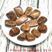 암모나이트화석 삼엽충화석 나무화석 화석 코끼리 피부 재스퍼 자갈 표본 크기 불규칙한 돌 reiki 치유 결정 석영 광물 홈 장식, 화석 코끼리 가죽, 500g