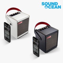 POSITIVE GRID Spark MIni 포지티브그리드 스파크 미니 스마트 기타앰프 블루투스 스피커, Black