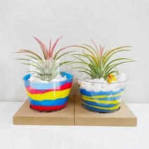 이오난사 화분 만들기 미술 재료 키트 KIT 초등저 방과후학습 미술준비물 DIY, 클레이