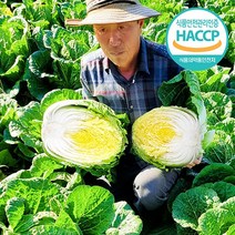 삼부자 명품 강원도 고랭지 절임배추 20kg 예약판매, 117.03월 31일 (금) 도착