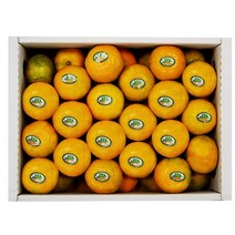 제주 불로초 고당도 하우스 감귤 3kg 서귀포, 상세페이지 참조, 상세페이지 참조