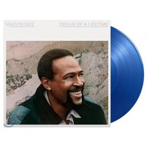 [LP] Marvin Gaye (마빈 게이) - Dream of a Lifetime [블루 컬러 LP]