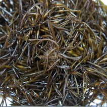 생물 국내산 싱싱 감태 톳 물김 생김 파래 1kg 옵션선택, 생톳 1kg