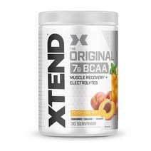 싸이베이션 엑스텐드 오리지널 BCAA, 444g, 1개