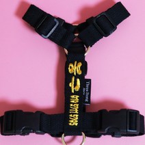 강아지하네스 H형 자수각인 애견 퍼피아 보듬 고양이 가슴 산책줄, 블루