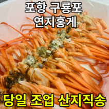 당일조업 산지직송 자연산 구룡포 연지홍게, 포항 구룡포 연지홍게 육수용 3kg 10-13미